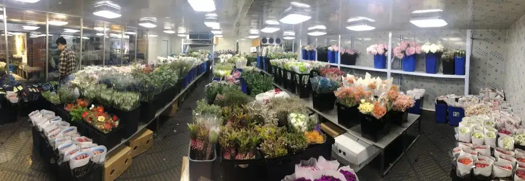 江南（中国）鲜花